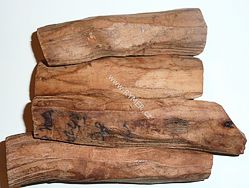 SANTÁLOVÉ DŘEVO - kořenové jádrové dřevo